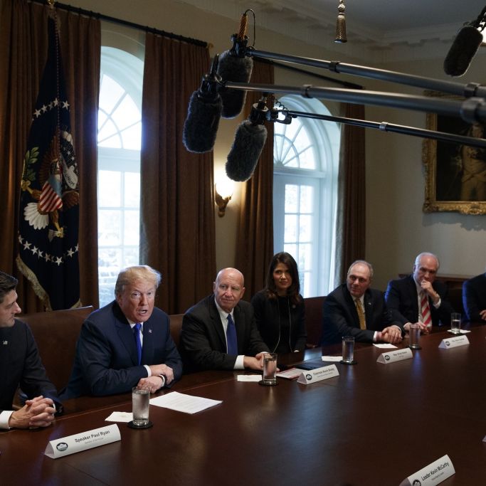 Weißes Haus außer Kontrolle – interne Machtspiele eskalieren