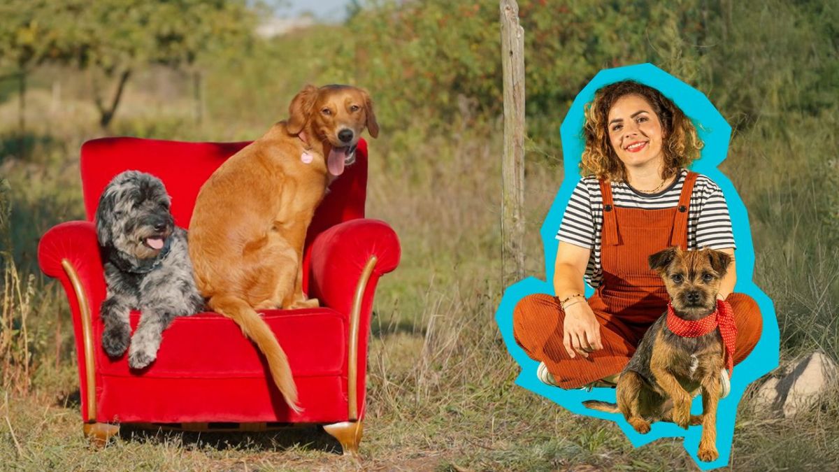 SingAlarm bei KiKA (Foto)