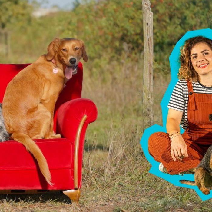 Wann und wo man die Wiederholung sehen kann