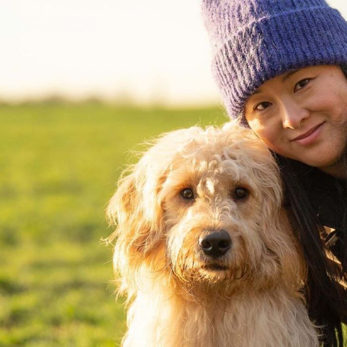 Wiederholung und Mediathek zur Sendung