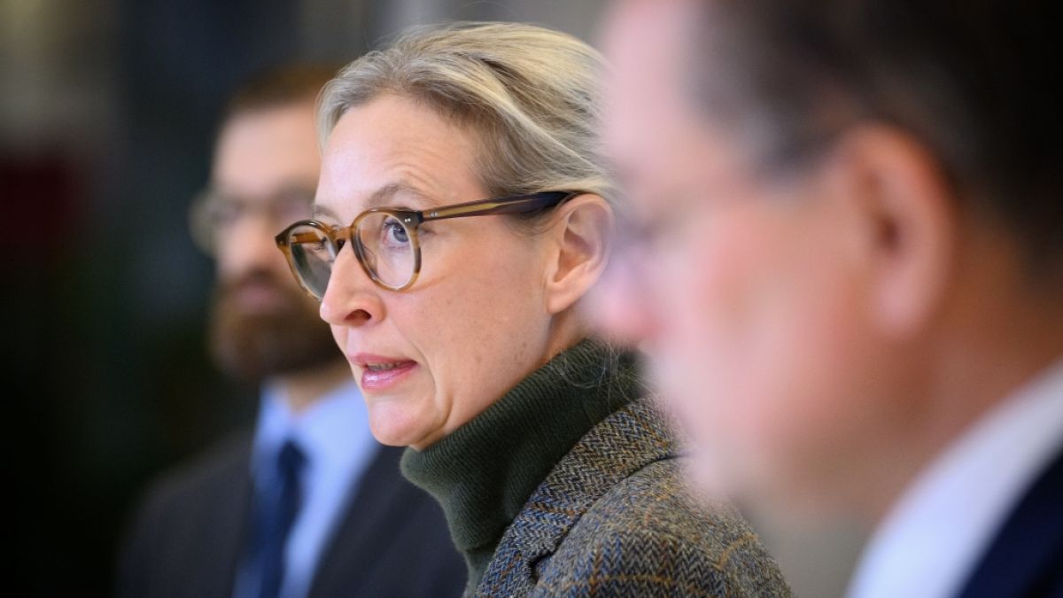 Die AfD verliert in der aktuellen Sonntagsfrage einen Prozentpunkt. (Foto)