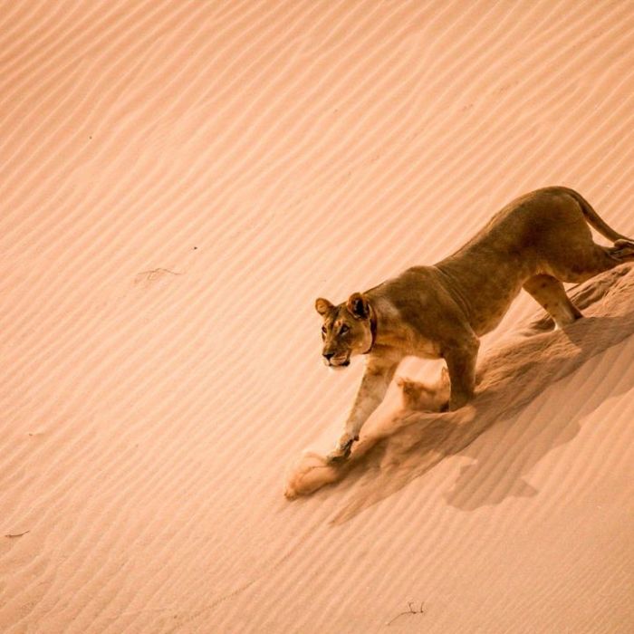 Wiederholung vom 15.2.2026 im TV und online