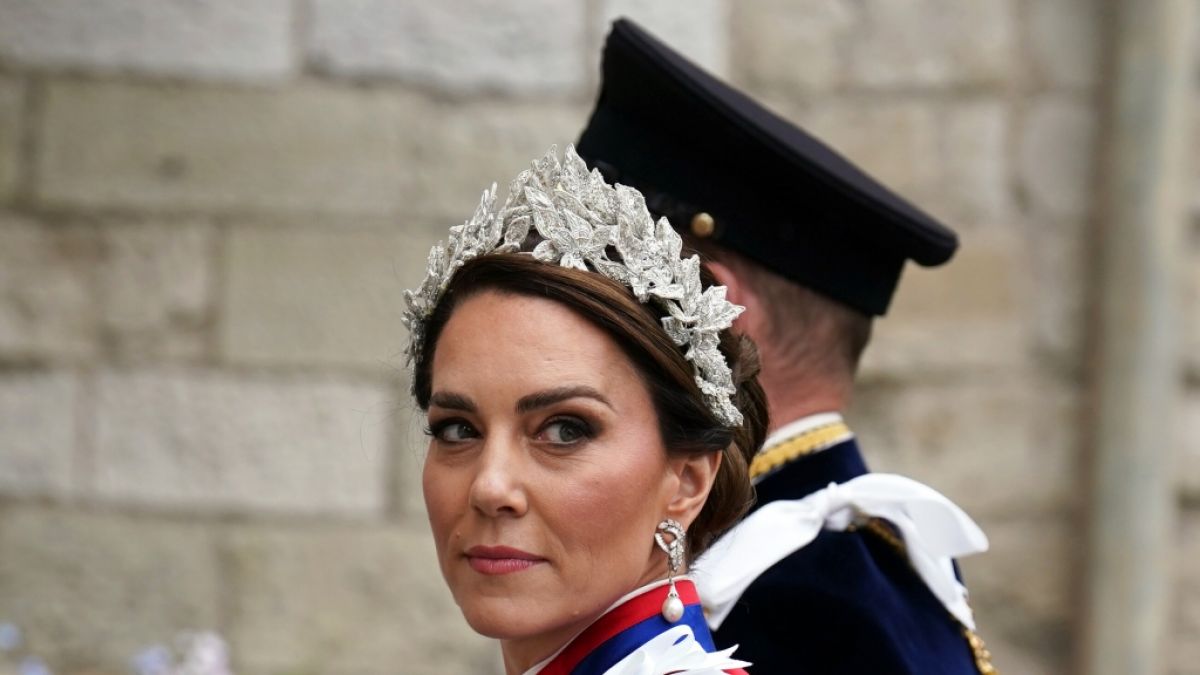 Ein Autor will wissen, was Prinzessin Kate wirklich &uuml;ber Andrew Mountbatten-Windsor denkt. (Foto)