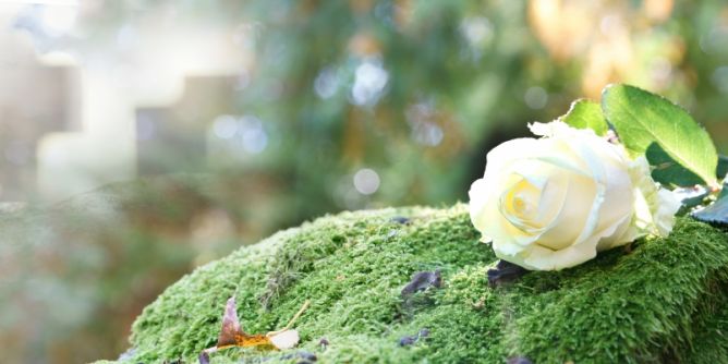 Cass Lacelle ist tot