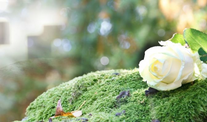 Reality-TV-Star nach "unglaublich mutigem Kampf gegen den Krebs" gestorben Cass Lacelle ist tot