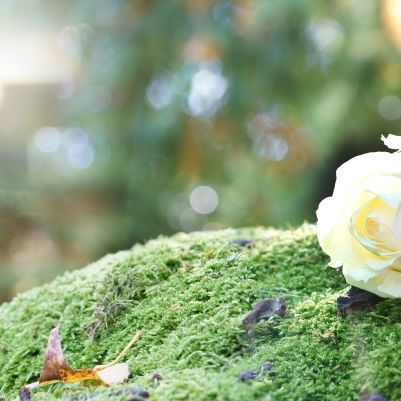 Reality-TV-Star nach 