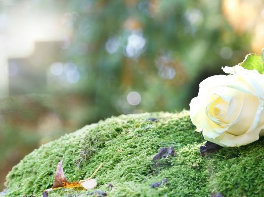 Cass Lacelle ist tot: Reality-TV-Star nach "unglaublich mutigem Kampf gegen den Krebs" gestorben