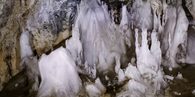 Psychrobacter SC65A.3