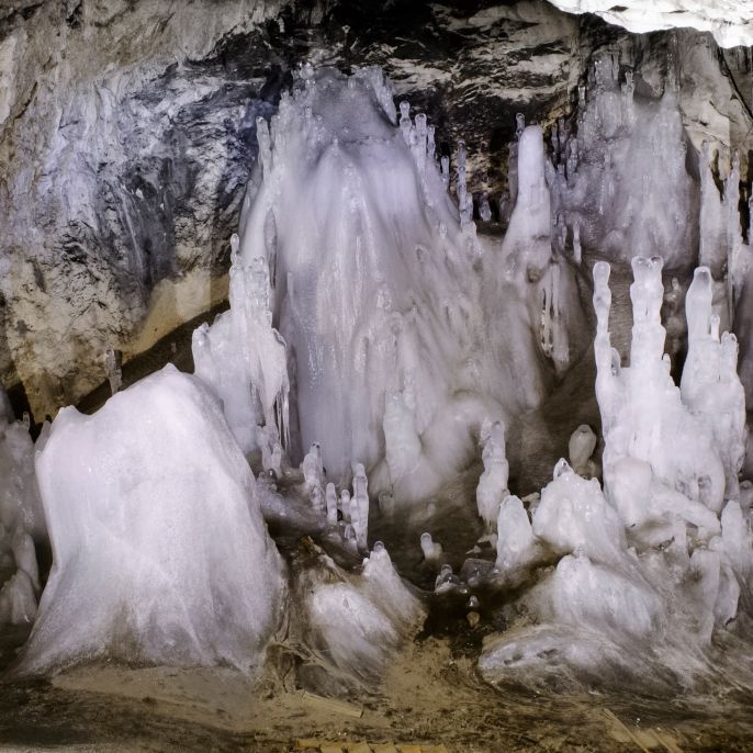 Wirkungslos gegen Sepsis - Ur-Keim aus dem Eis ist resistent gegen Antibiotika