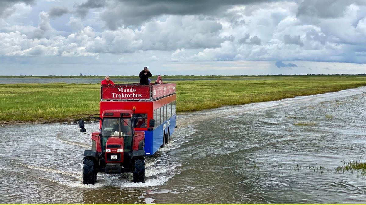 Die d&auml;nischen Wattenmeerinseln - R&oslash;m&oslash;, Fan&oslash; und Mand&oslash; bei 3sat (Foto)