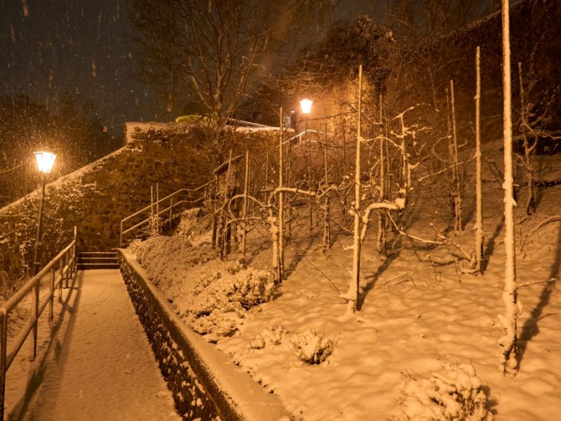 Unwetter-Warnung im Februar 2026: Neuschnee-Alarm bis in tiefe Lagen - Winter-Zugabe vor Frühlingsumschwung