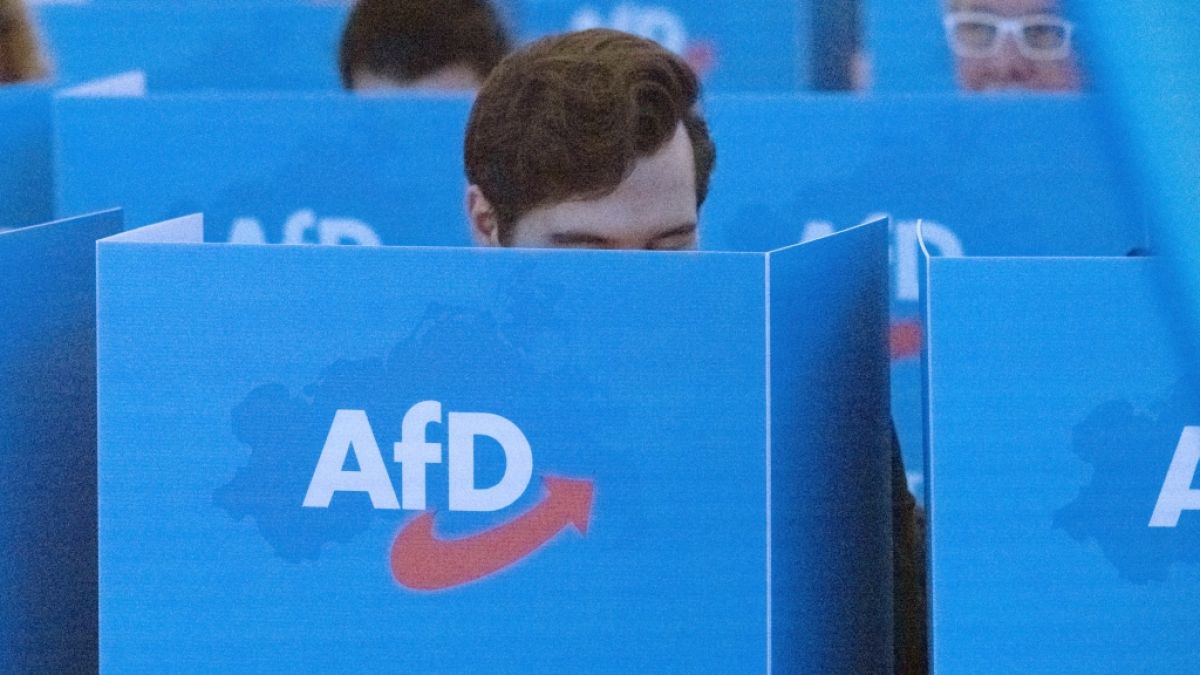 Die AfD k&ouml;nnte die Landtagswahl in Mecklenburg-Vorpommern deutlich gewinnen. (Foto)