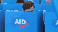 Die AfD könnte die Landtagswahl in Mecklenburg-Vorpommern deutlich gewinnen.