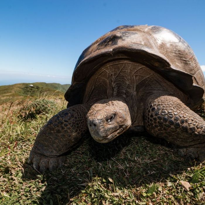 Wiederholung vom Donnerstag im TV und online