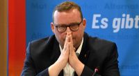 Die Vorwürfe seiner Parteikollegin bringen AfD-Niedersachsen-Chef Ansgar Schledde in Bedrängnis.