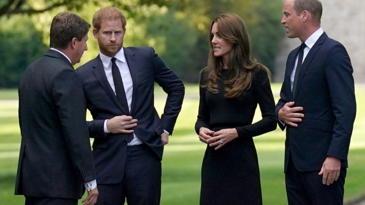 Glaubt man den Enth&uuml;llungen von Royals-Autor Russell Myers, so war Prinzessin Kate die treibende Kraft bei der Entzweiung von Prinz William und Prinz Harry. (Foto)