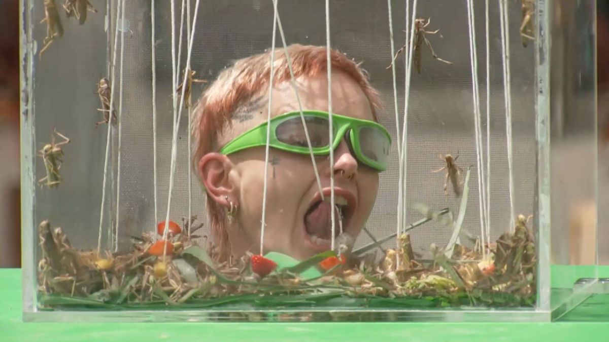 Promis unter Palmen - F&uuml;r Geld mache ich alles! bei Sat.1 (Foto)