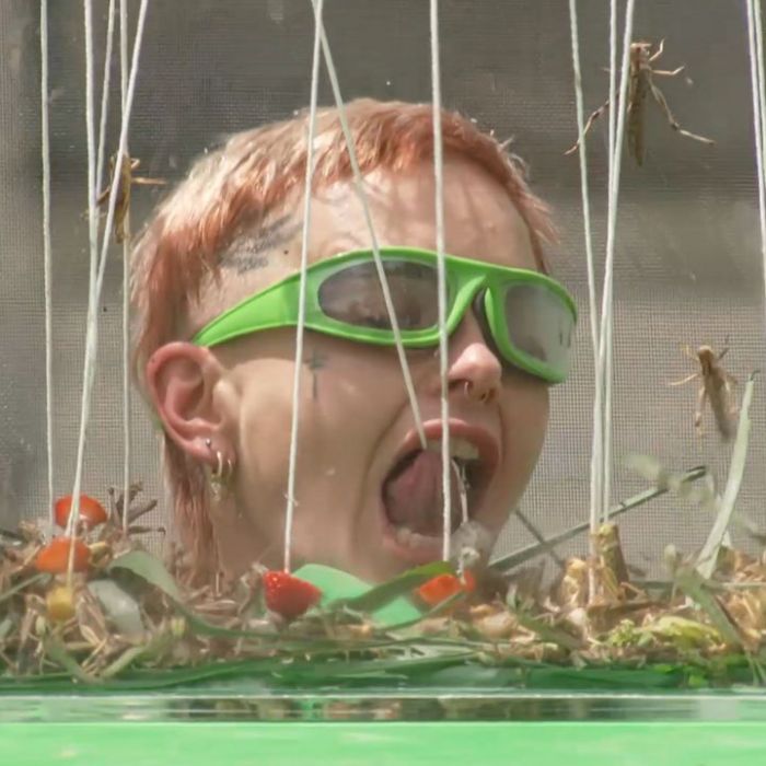 Wiederholung und Mediathek zur Sendung