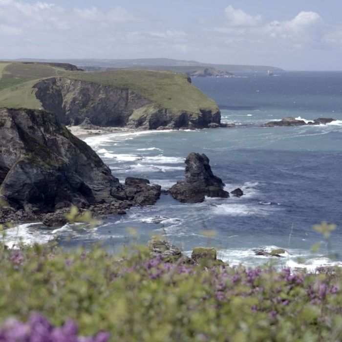 Wann und wo man die Wiederholung sehen kann