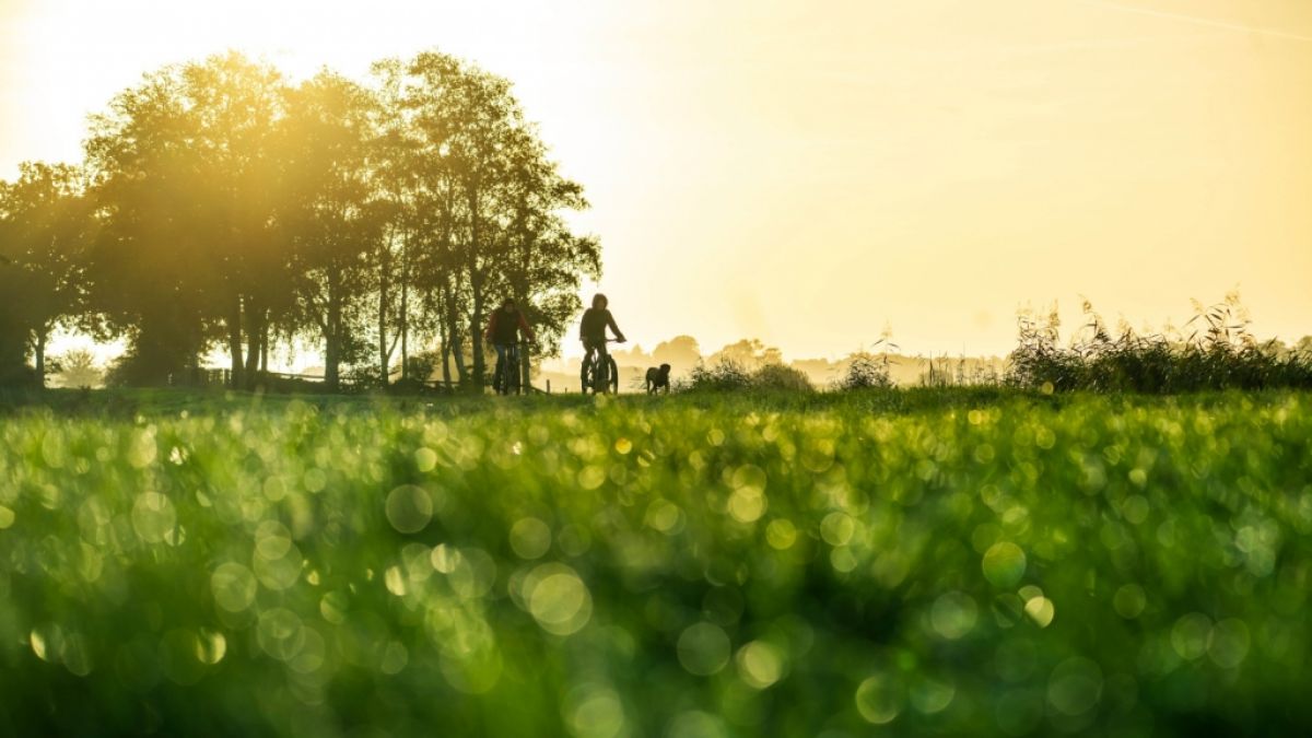 Nach dem wochenlangen Schnee-Szenario wird es nun fr&uuml;hlingshaft warm in Deutschland.&nbsp; (Foto)