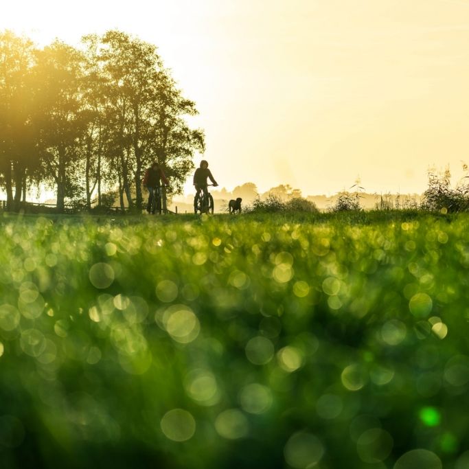 Saharaluft bringt bis zu 20 Grad - und der Deutsche Wetterdienst warnt