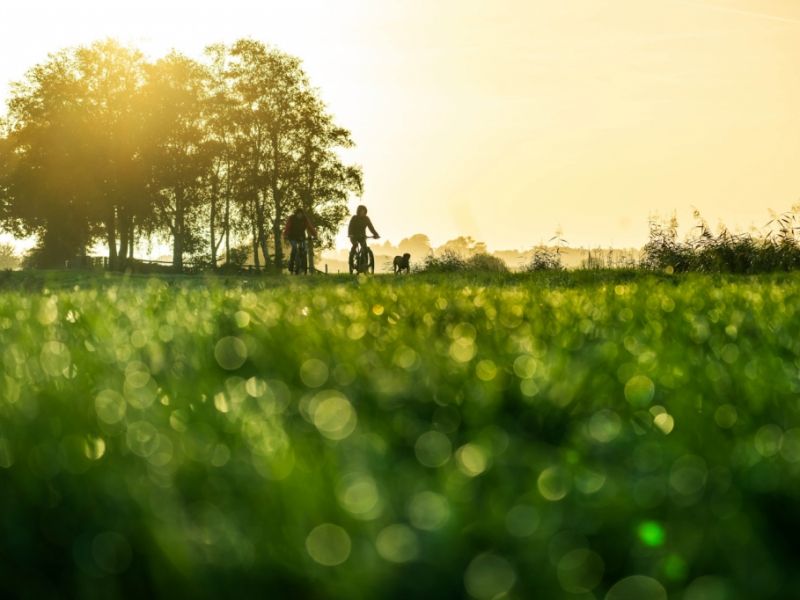 Hammer-Temperaturen im Februar: Saharaluft bringt bis zu 20 Grad - und der Deutsche Wetterdienst warnt