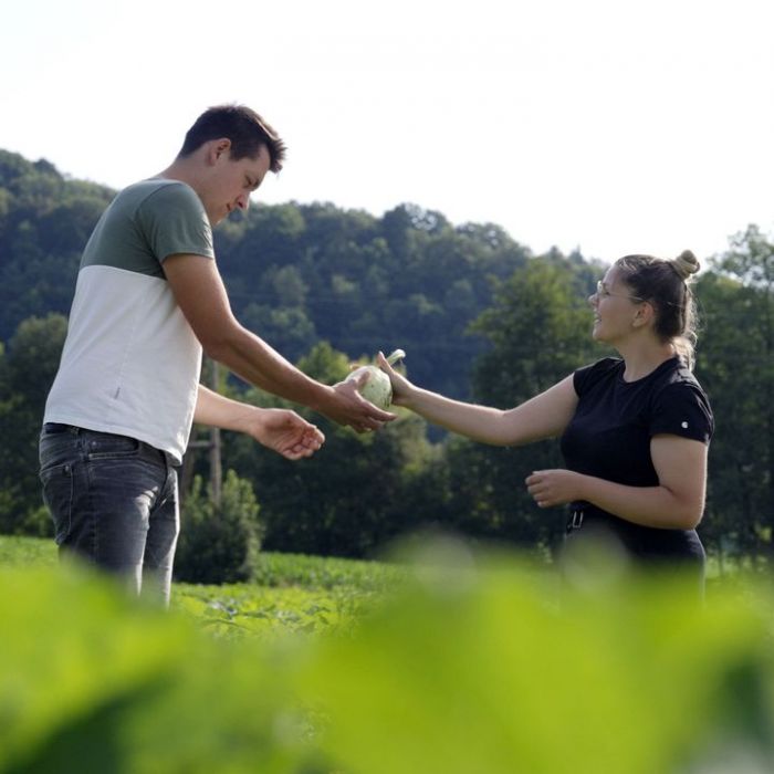 Wiederholung und Mediathek zur Sendung