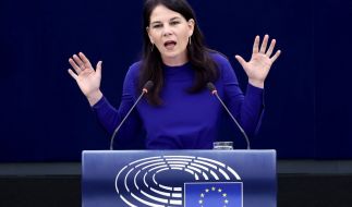 Annalena Baerbock wird nach ihrer Rede kritisiert.