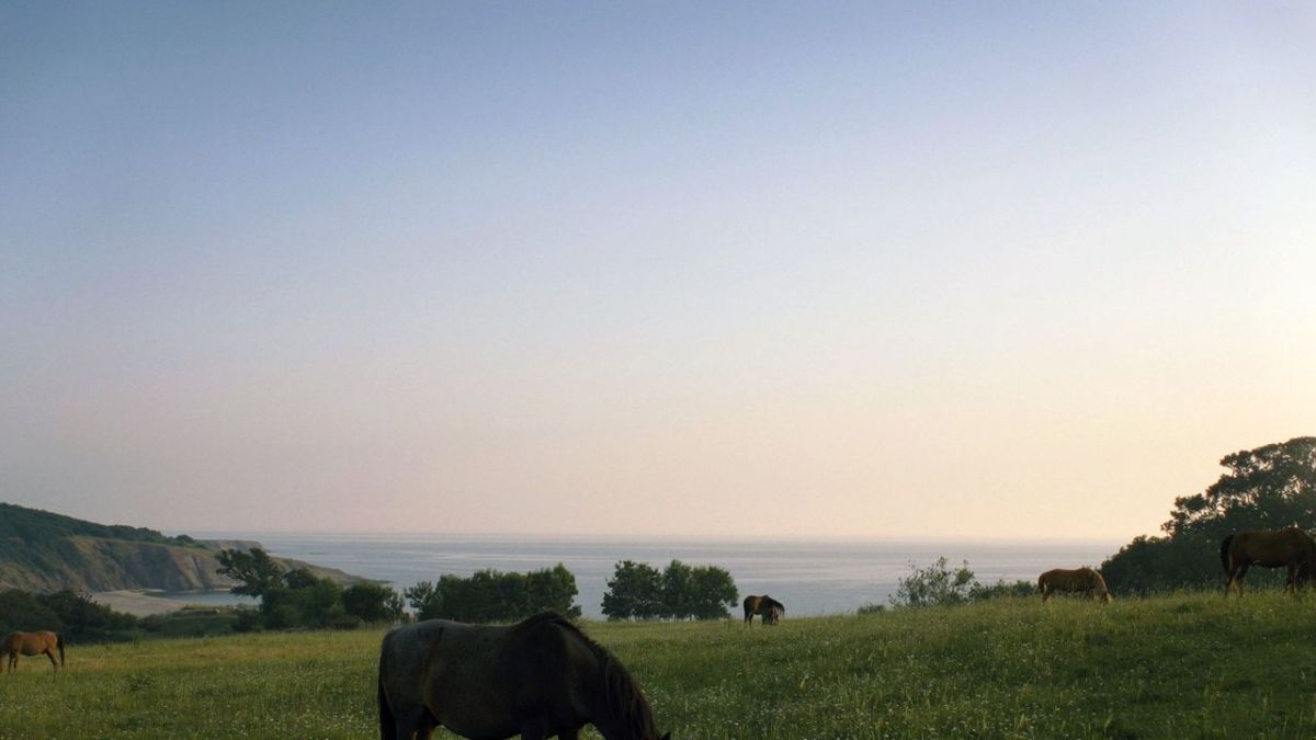 Night Trains bei Arte (Foto)