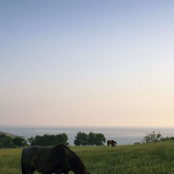 Wann und wo man die Wiederholung sehen kann