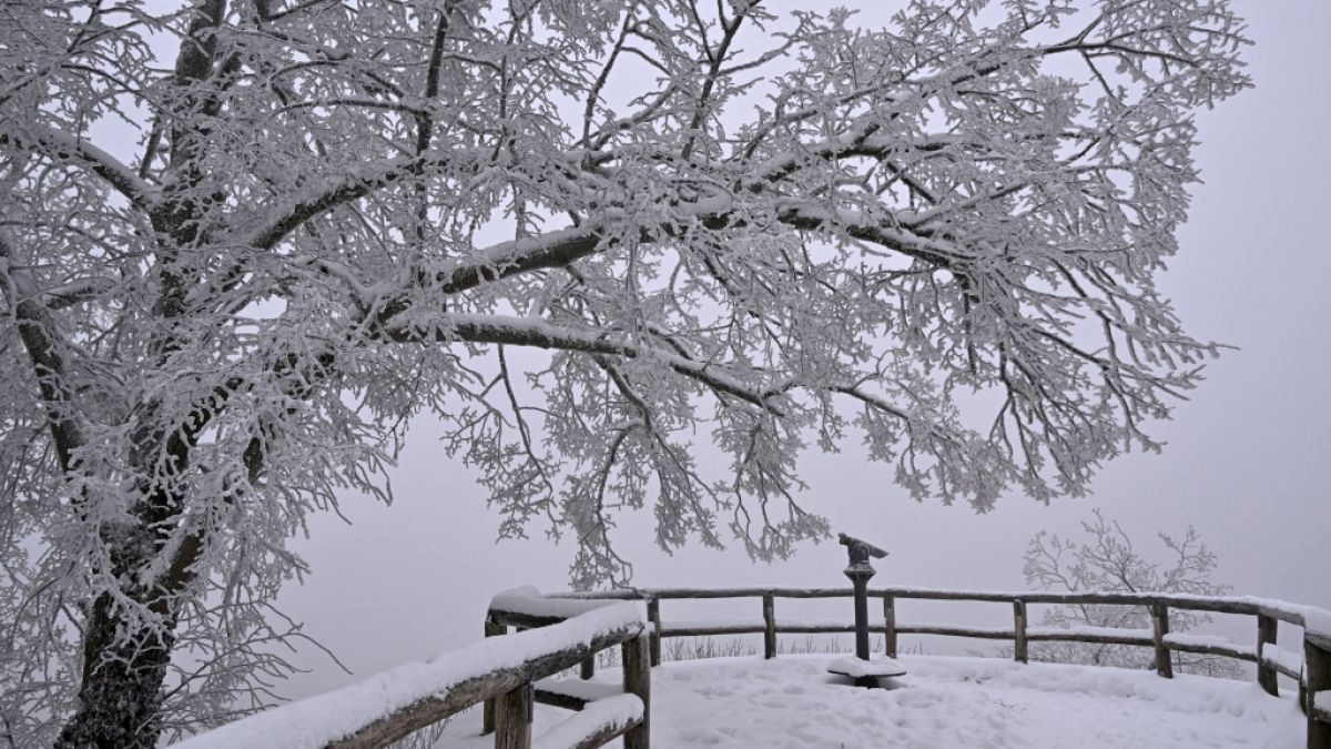 Der DWD warnt vor m&ouml;glichem Frost (Symbolbild). (Foto)