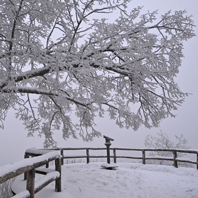DWD - Frost & Nebel werden im Freistaat erwartet