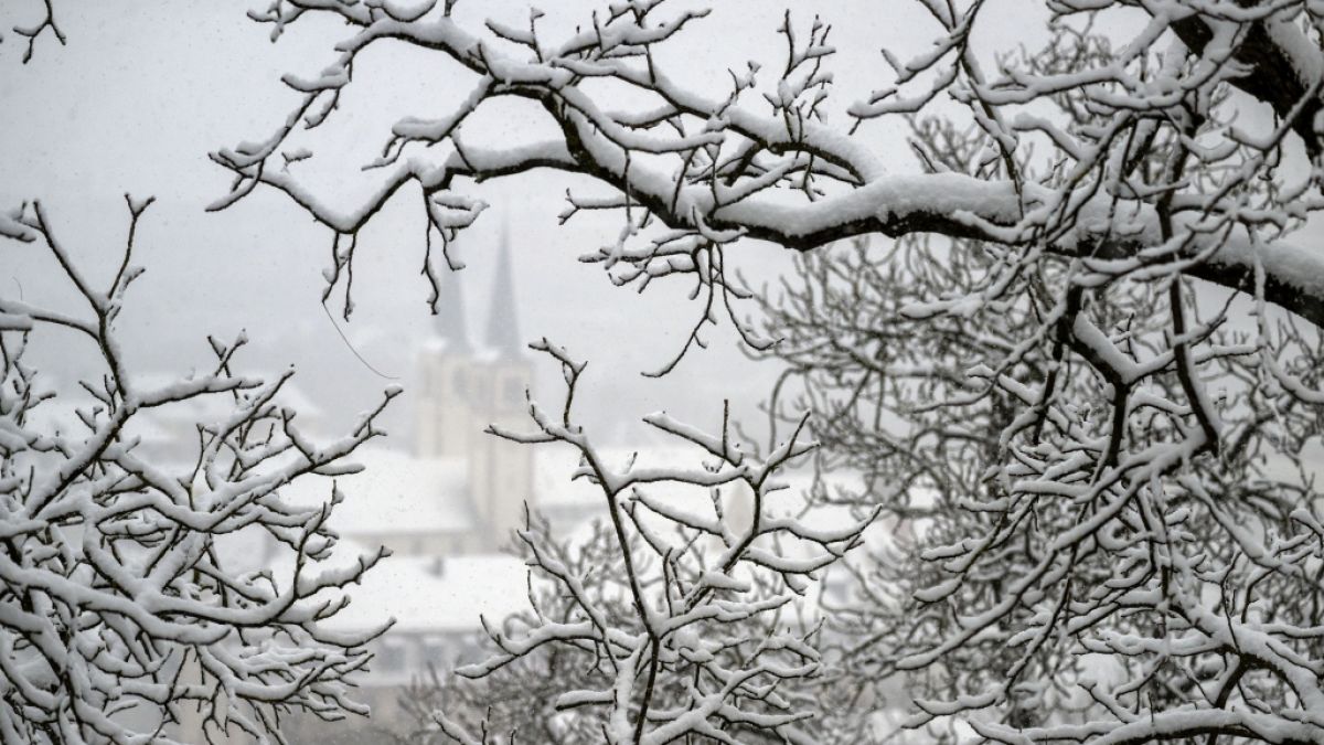 Der DWD warnt vor m&ouml;glichem Frost (Symbolbild). (Foto)