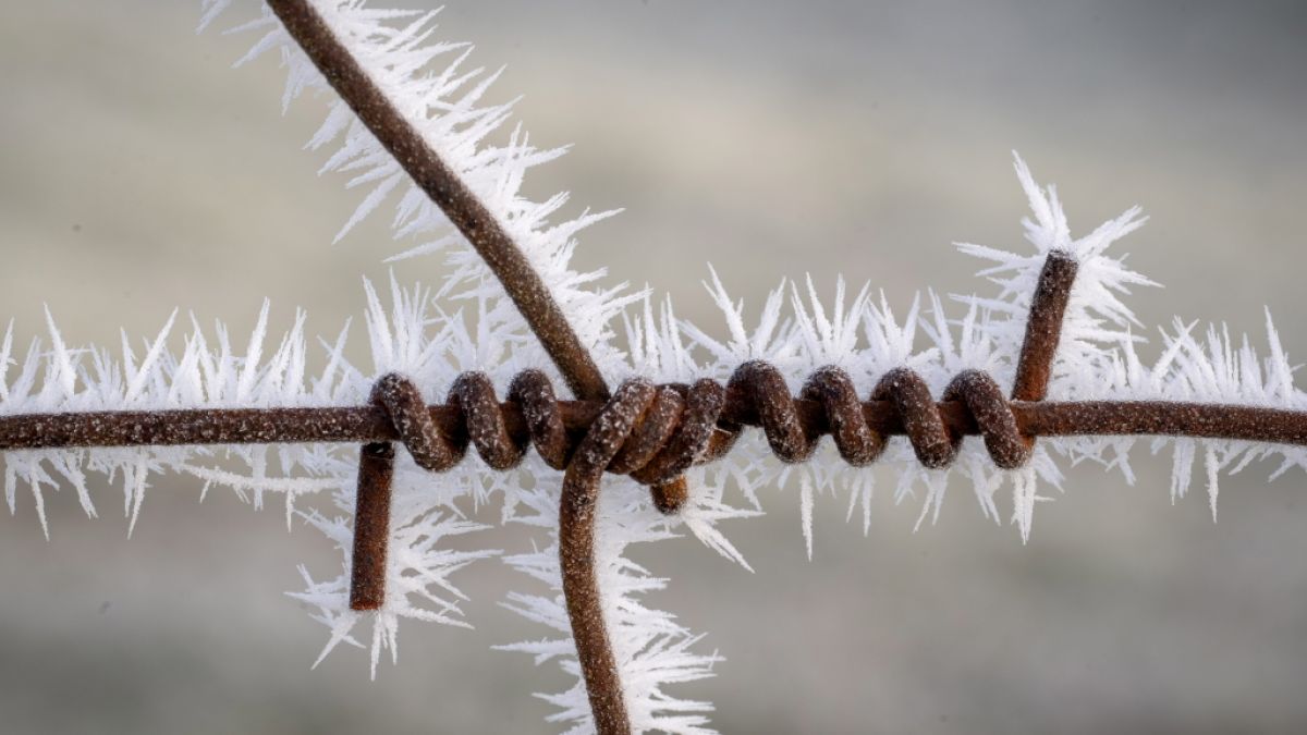 Der DWD warnt vor m&ouml;glichem Frost (Symbolbild). (Foto)
