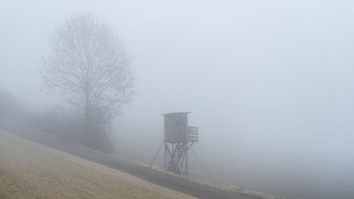 Der DWD warnt vor m&ouml;glichem Nebel (Symbolbild). (Foto)