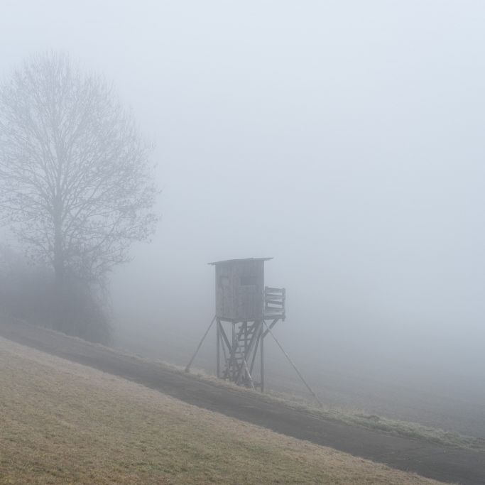 DWD - Glätte, Frost & Nebel werden erwartet