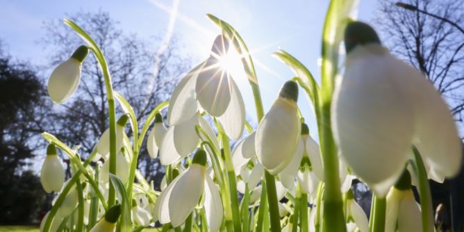 Wetter aktuell im Februar 2026