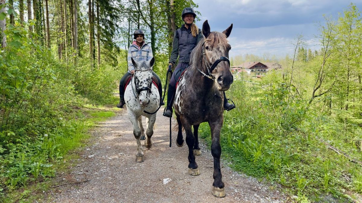Anna und die Haustiere bei KiKA (Foto)