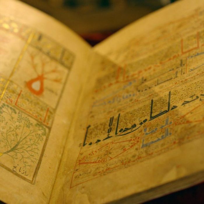 Wann und wo man die Wiederholung sehen kann