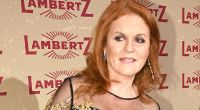 Sarah Ferguson, die frühere Herzogin von York, hatte laut aktuell enthüllten Epstein-Dokumenten keine Skrupel, den verurteilten Sexualstraftäter gierig nach Luxusreisen anzubetteln.