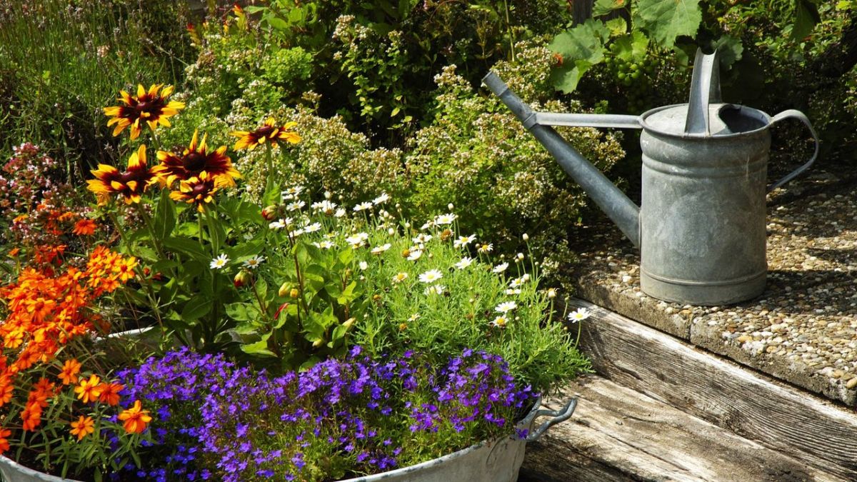 Ab ins Beet! Die Garten-Soap bei VOX (Foto)