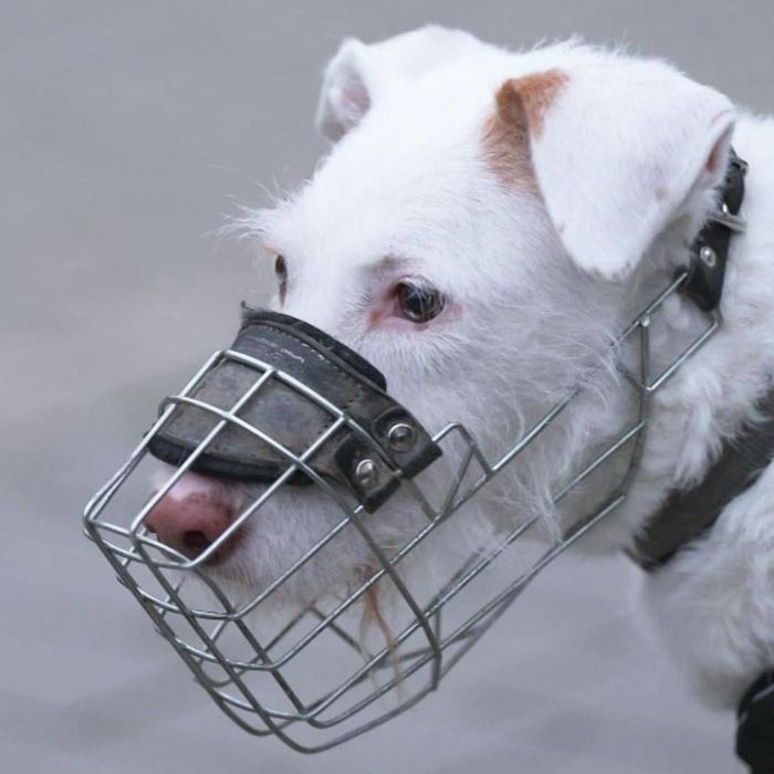 Wiederholung und Mediathek zur Sendung