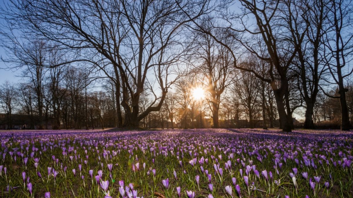 Der Fr&uuml;hlings startet ungew&ouml;hnlich mild und &auml;u&szlig;erst trocken. (Foto)