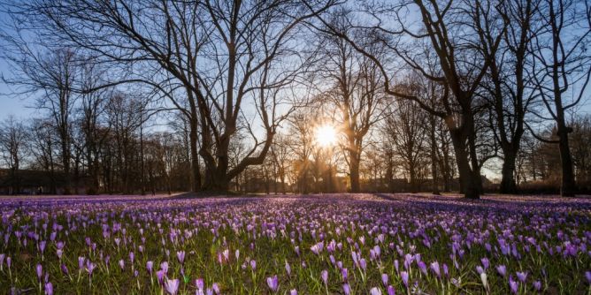 Frühlingskracher im März