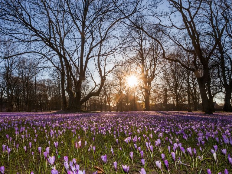Wetter-Prognose für März 2026: Vorerst bis zu 20 Grad möglich - kehrt der Winter noch einmal zurück?