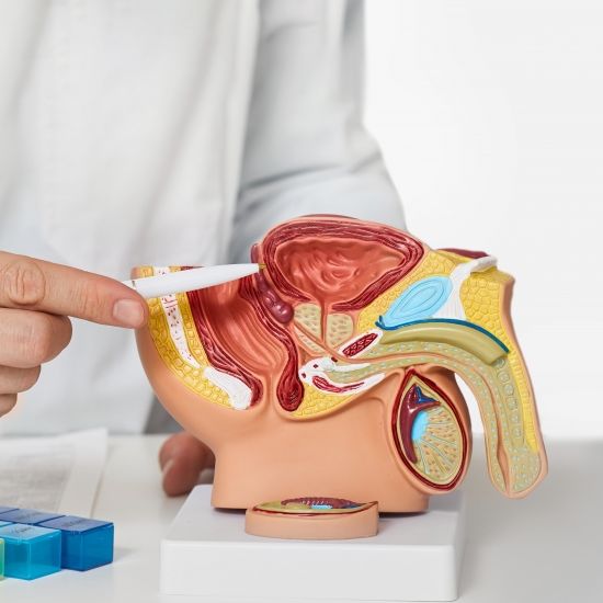 Auf diese Krankheiten können Erektionsstörungen hinweisen