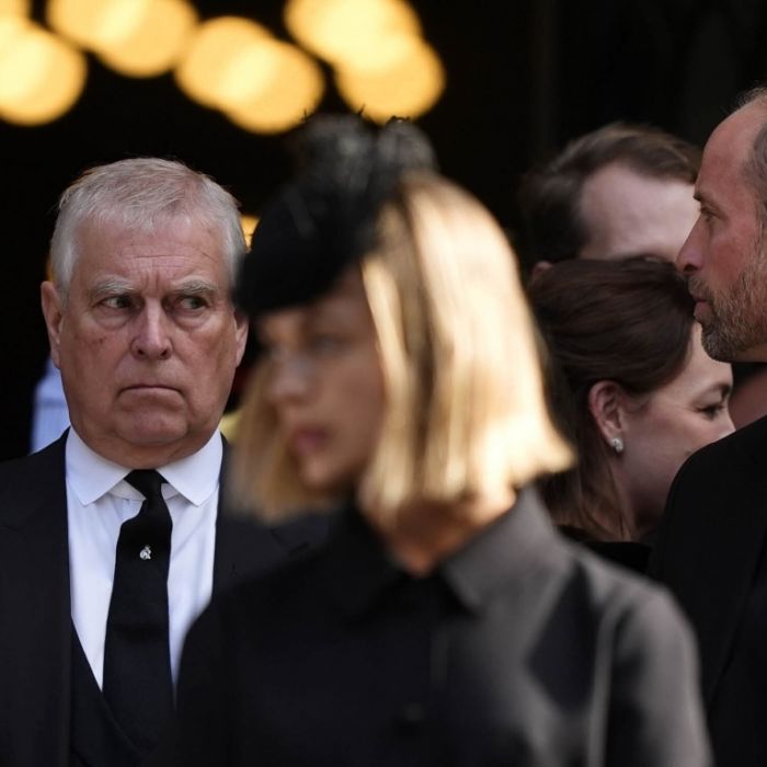 Jetzt bettelt Andrew bei Prinz William 