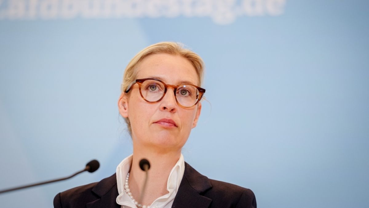 AfD-Partei-Chefin Alice Weidel kann die Machtk&auml;mpfe innerhalb ihrer Partei nicht unter Kontrolle bringen. (Foto)
