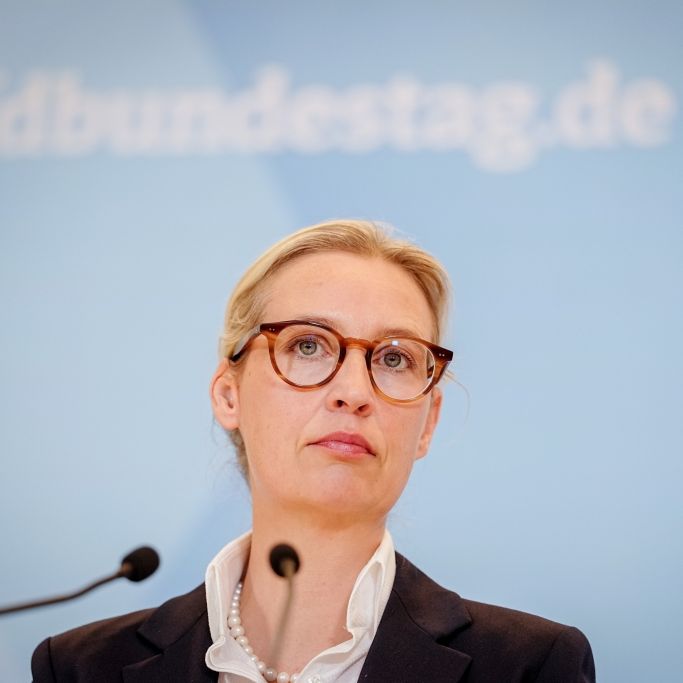 AfD-Parteichefin beißt sich die Zähne aus - Machtkämpfe eskalieren