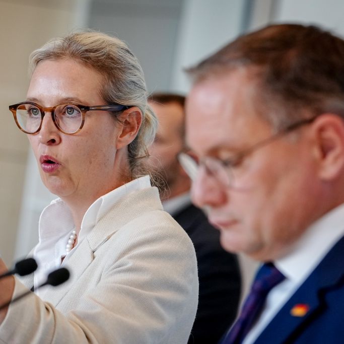 AfD auf Talfahrt - Union baut Vorsprung deutlich aus